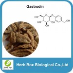 Gastrodin