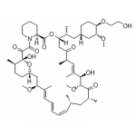 Everolimus