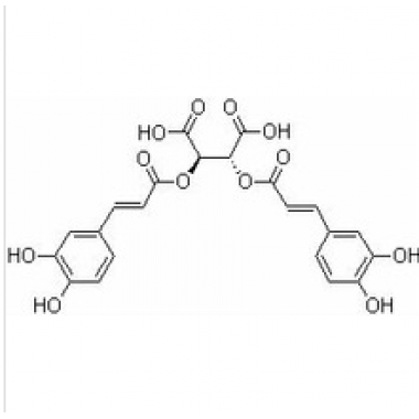 Favorable price best quality Echinacea extract powder in bulk supply