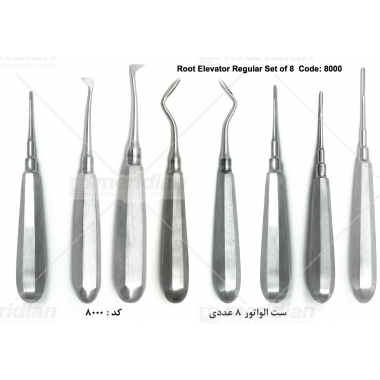 Root Elevator Regular Set of 8