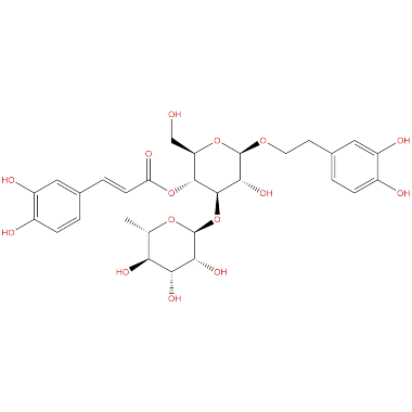 Acteoside