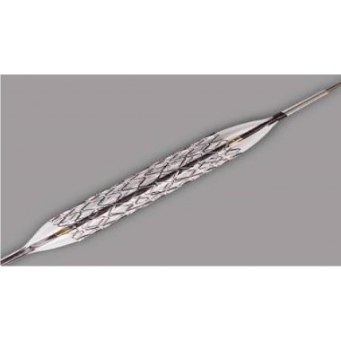 Coronary  Stent