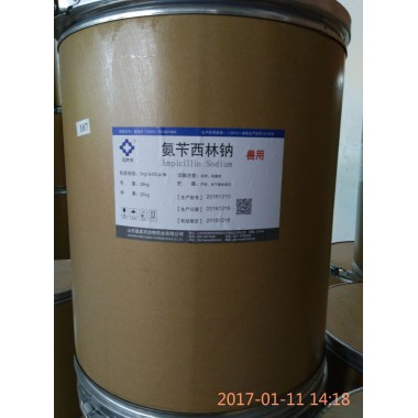 Ampicillin Sodium