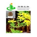 St. Johns Wort P.E