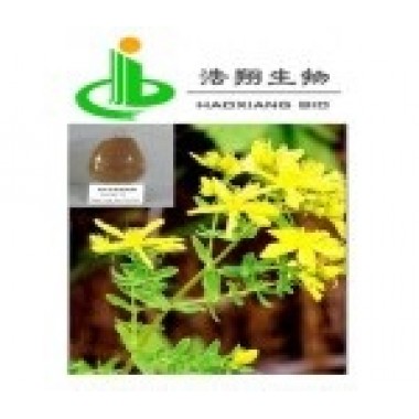 St. Johns Wort P.E