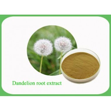 Dandelion Root Extract