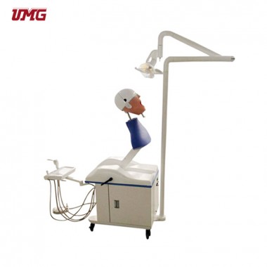 Top selling dental training equipment dental simulation manikin