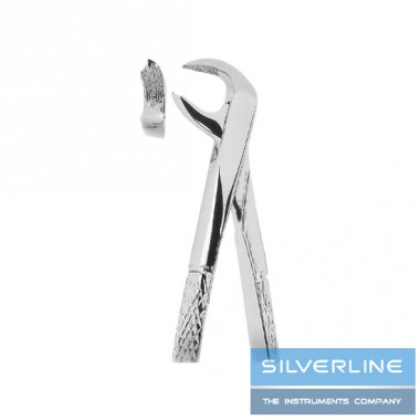 Lower Molars
