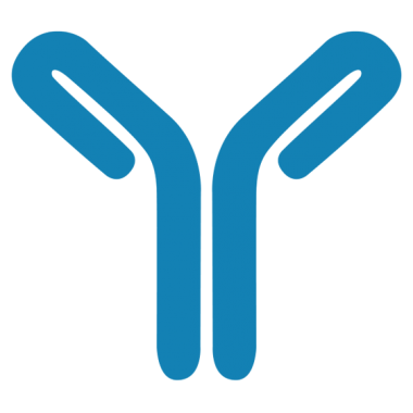 Human CCR4Serial/Model NO. Monoclonal Antibody