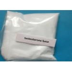 Testosterone Phenylpropionate