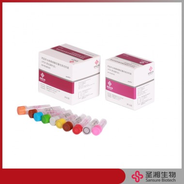 HCV Hepatitis C Viral RNA Quantitative Fluorescence Diagnostic Kit (PCR Fluorescence Probing) magnetic bead