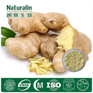 Ginger Extract