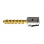 CEDAR OPtimalMax Favored Angle Screw