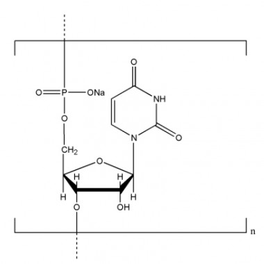 Polyuridylic acid sodium salt