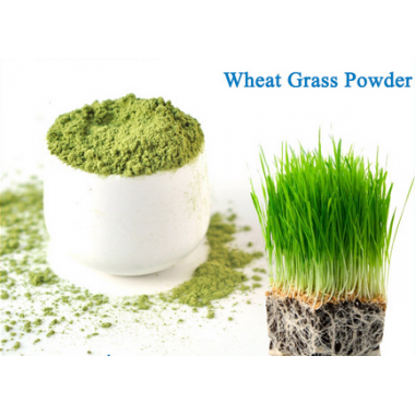 Barley grass powder