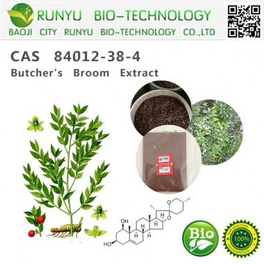 Ruscogenins Butcher's Broom Extract 10% 20%