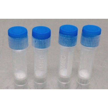 Pentagastrin 