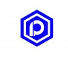 PIONEERS INTERNATIONAL TRADING LTD.