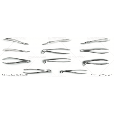 Tooth Forceps Regular Set of 11