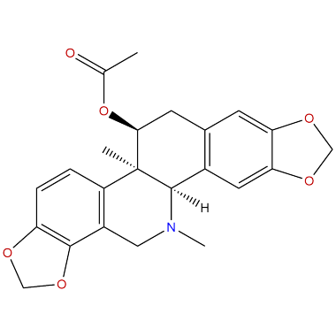 Acetylcorynoline