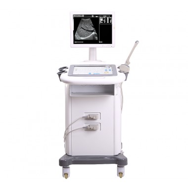 PL-2018CII Trolley Ultrasound Scanner