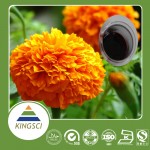 shaanxi kingsci biotechnology Co.,Ltd.