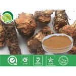 Rhodiola rosea extract