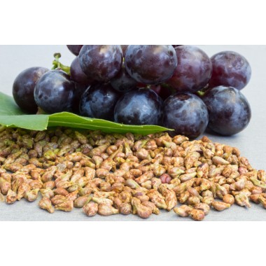 Grape Seed Extract