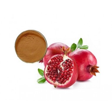 Natural Pomegranate Bark Extract Powder Plant Extract