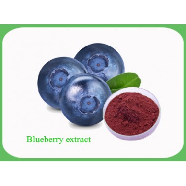 Blueberry Extract