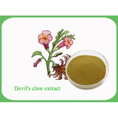 Devil's Claw Extract