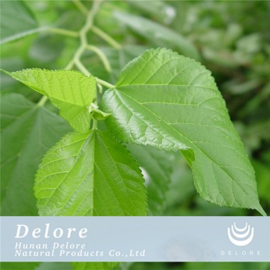 Mulberry leaf flavonoids