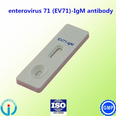 CE certification Enterovirus 71 rapid test/EV71 rapid test