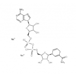 NADH(Reduced Coenzyme-I)