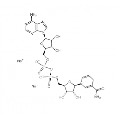 NADH(Reduced Coenzyme-I)