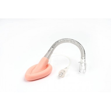 Laryngeal mask airway