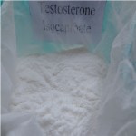 Testosterone isocaproate