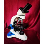 Binocular microscope