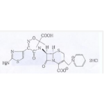 Ceftazidime (sodium carbonate) (sterile)