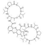 actinomycin D