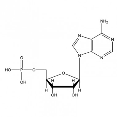 Adenosine 5'-monophosphate (CAS No.61-19-8)