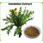 Dandelion Root Extract