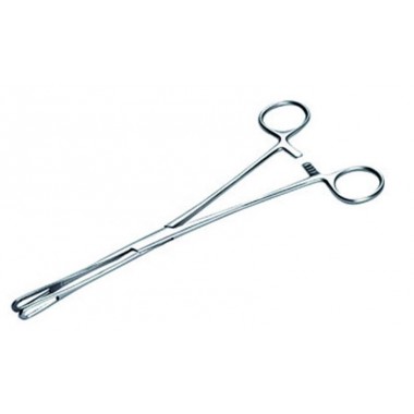 Rampley Sponge Holding Forceps