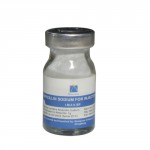 Ampicillin sodium for Injection