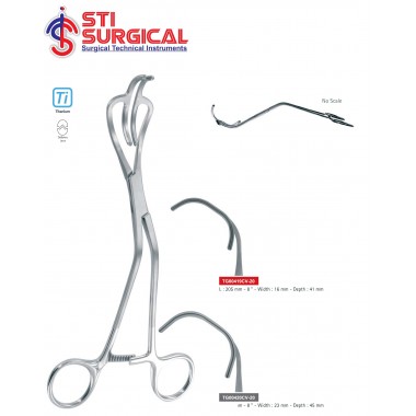 Lemole Aortic Clamp