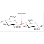 Heparinase