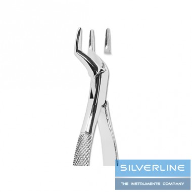 Upper Incisors and Roots