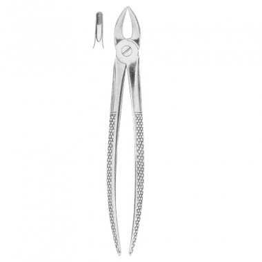 EXTRACTING FORCEPS ENGLISH PATTERN 101