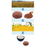 FLAXSEED OIL POWDER