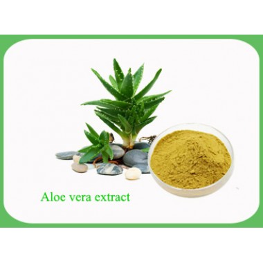 Aloe Vera Extract